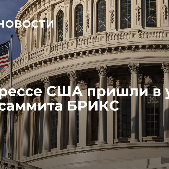 В конгрессе США пришли в ужас после саммита БРИКС