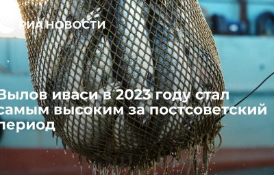 Вылов иваси в 2023 году стал самым высоким за постсоветский период