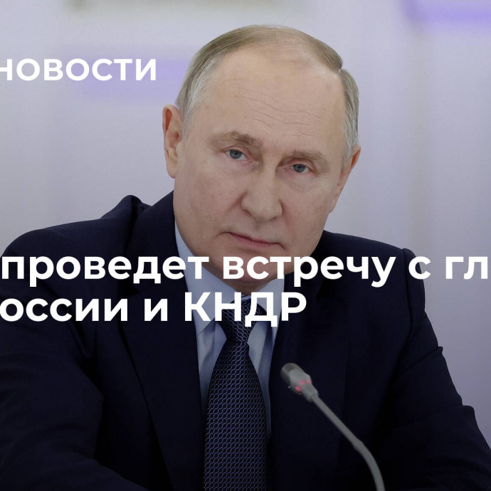 Путин проведет встречу с главами МИД России и КНДР