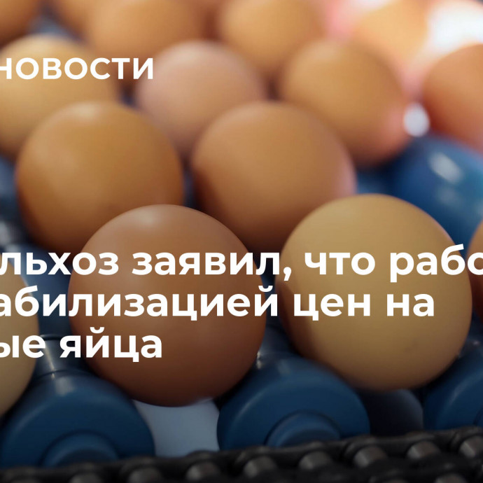 Минсельхоз заявил, что работает над стабилизацией цен на куриные яйца