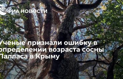 Ученые признали ошибку в определении возраста сосны Палласа в Крыму