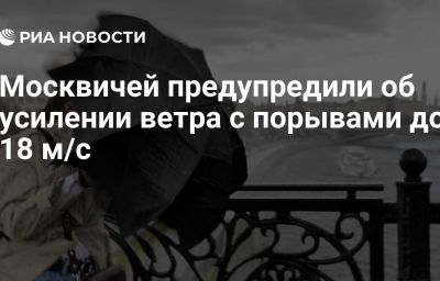 Москвичей предупредили об усилении ветра с порывами до 18 м/с