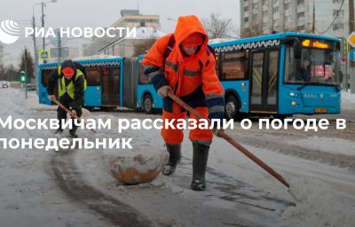 Москвичам рассказали о погоде в понедельник