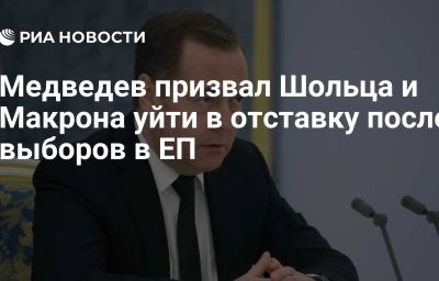 Медведев призвал Шольца и Макрона уйти в отставку после выборов в ЕП