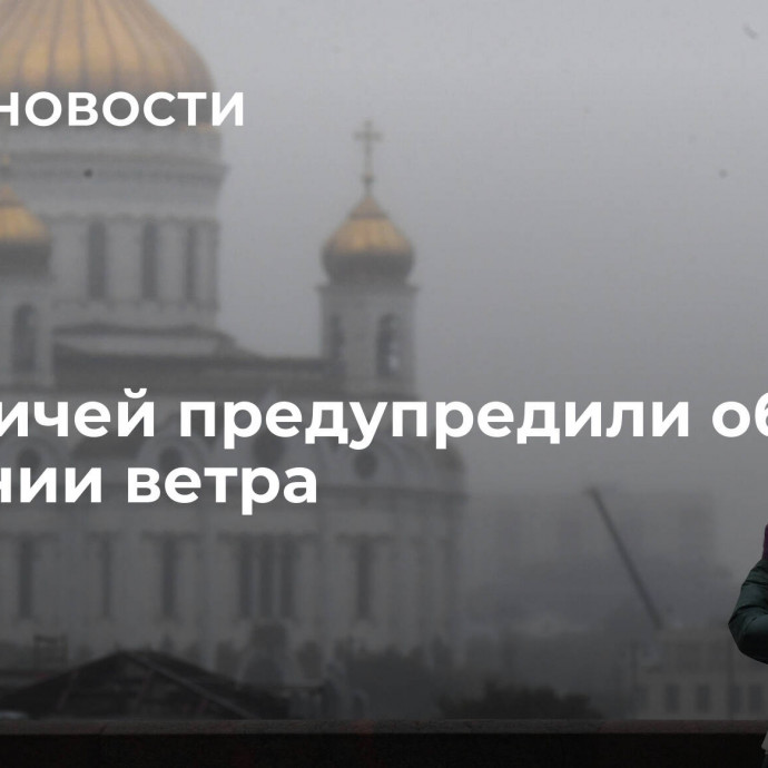 Москвичей предупредили об усилении ветра