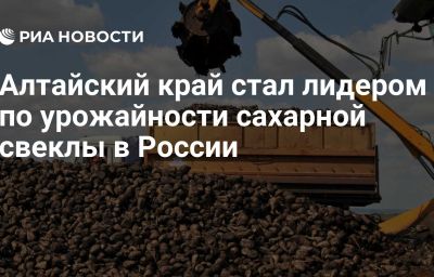 Алтайский край стал лидером по урожайности сахарной свеклы в России