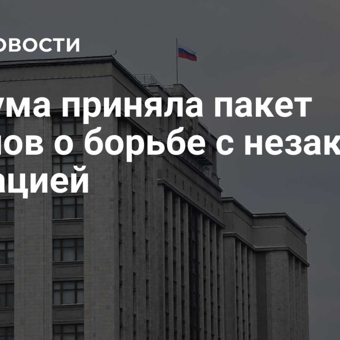 Госдума приняла пакет законов о борьбе с незаконной миграцией