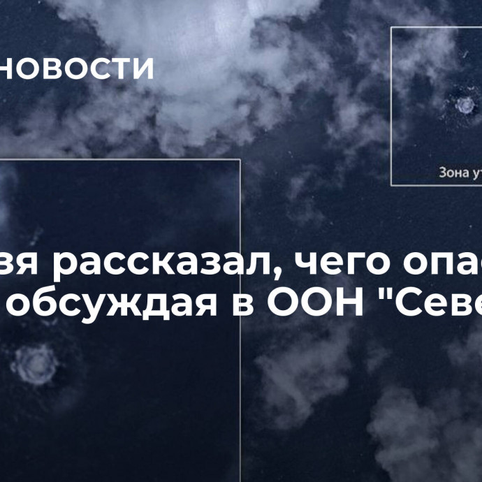 Небензя рассказал, чего опасался Запад, обсуждая в ООН 