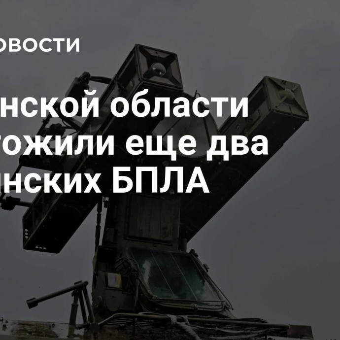 В Брянской области уничтожили еще два украинских БПЛА