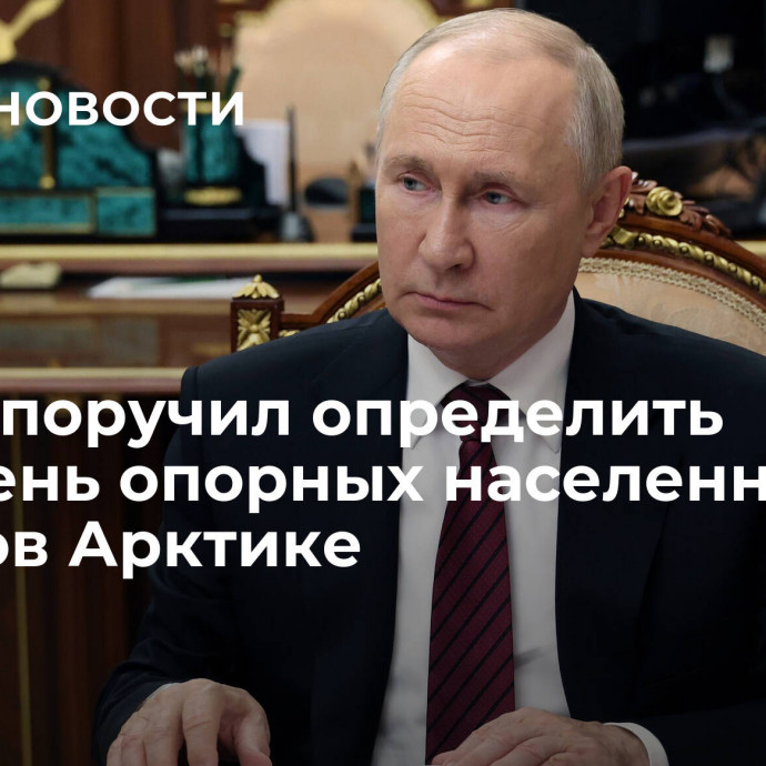 Путин поручил определить перечень опорных населенных пунктов Арктике