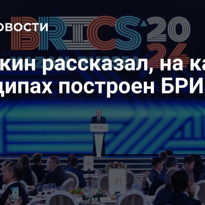 Орешкин рассказал, на каких принципах построен БРИКС