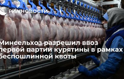 Минсельхоз разрешил ввоз первой партии курятины в рамках беспошлинной квоты