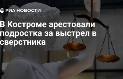 В Костроме арестовали подростка за выстрел в сверстника