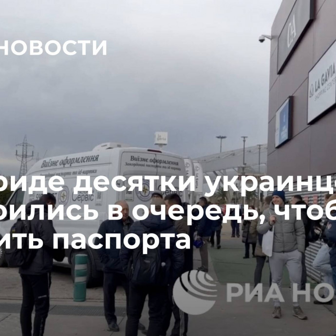 В Мадриде десятки украинцев выстроились в очередь, чтобы продлить паспорта