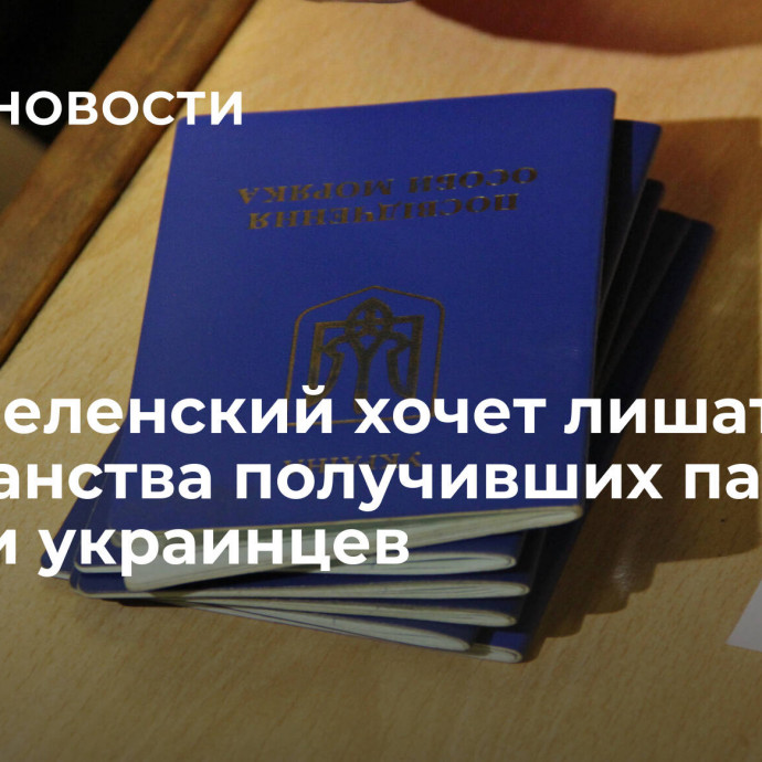 СМИ: Зеленский хочет лишать гражданства получивших паспорт России украинцев