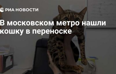 В московском метро нашли кошку в переноске