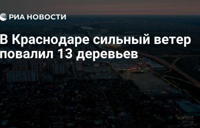 В Краснодаре сильный ветер повалил 13 деревьев