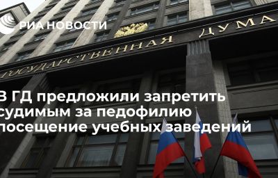 В ГД предложили запретить судимым за педофилию посещение учебных заведений