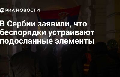 В Сербии заявили, что беспорядки устраивают подосланные элементы