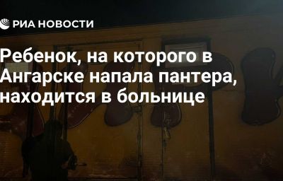 Ребенок, на которого в Ангарске напала пантера, находится в больнице