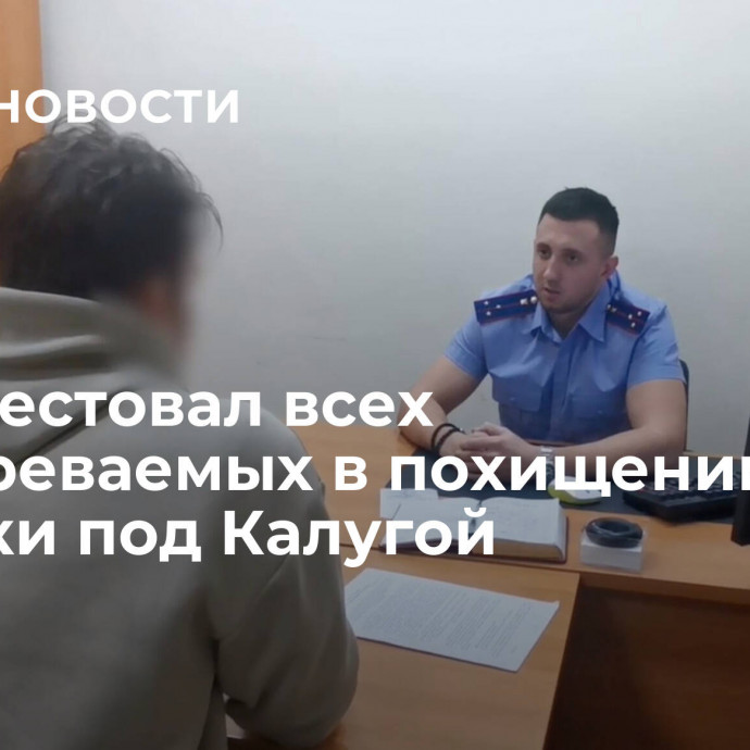 Суд арестовал всех подозреваемых в похищении девочки под Калугой