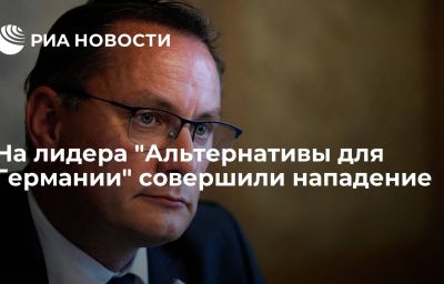 На лидера "Альтернативы для Германии" совершили нападение