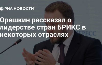 Орешкин рассказал о лидерстве стран БРИКС в некоторых отраслях