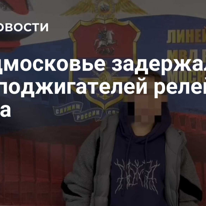 В Подмосковье задержали двух поджигателей релейного шкафа