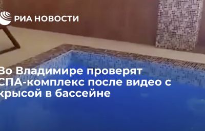 Во Владимире проверят СПА-комплекс после видео с крысой в бассейне