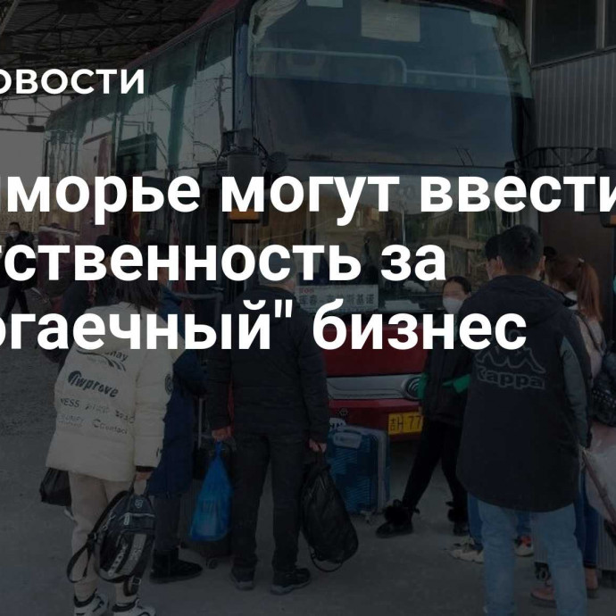 В Приморье могут ввести ответственность за 