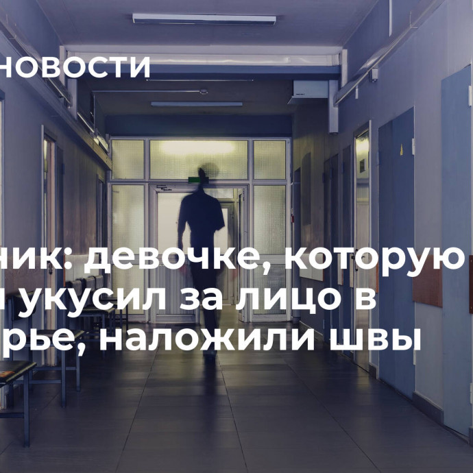 Источник: девочке, которую алабай укусил за лицо в Приморье, наложили швы