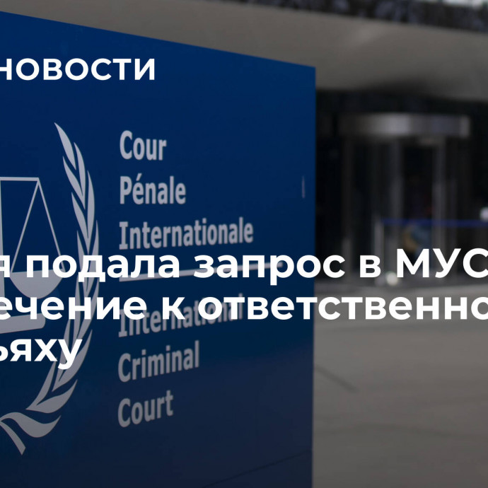 Турция подала запрос в МУС на привлечение к ответственности Нетаньяху