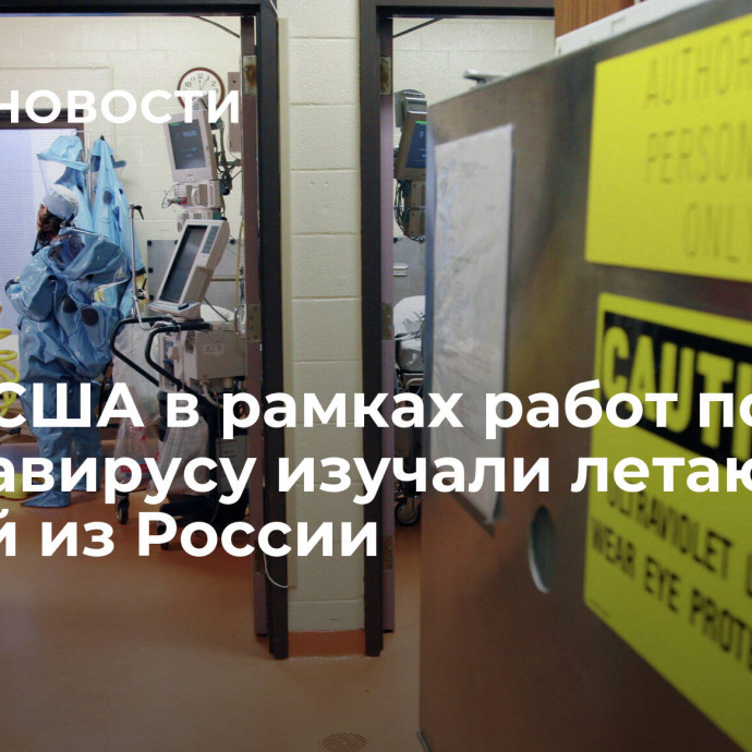 РХБЗ: США в рамках работ по коронавирусу изучали летающих мышей из России