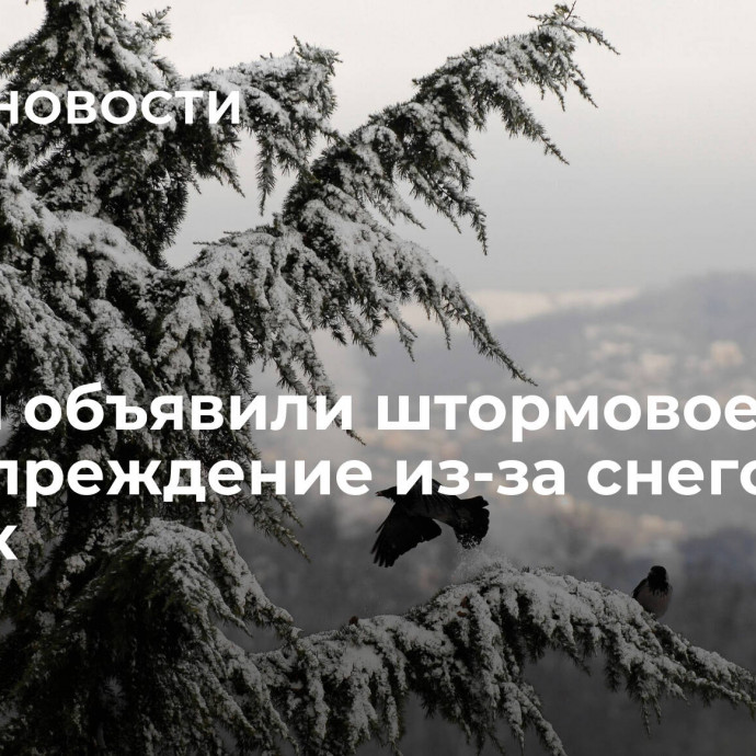 В Сочи объявили штормовое предупреждение из-за снегопада в горах