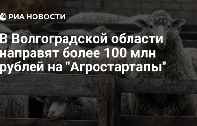 В Волгоградской области направят более 100 млн рублей на "Агростартапы"