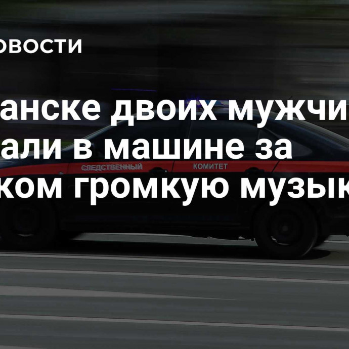 В Саранске двоих мужчин зарезали в машине за слишком громкую музыку