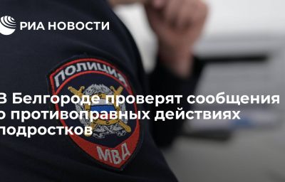 В Белгороде проверят сообщения о противоправных действиях подростков