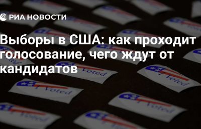 Выборы в США: как проходит голосование, чего ждут от кандидатов