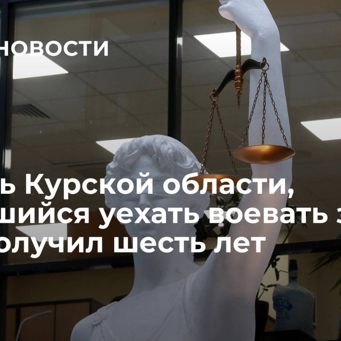 Житель Курской области, пытавшийся уехать воевать за ВСУ, получил шесть лет