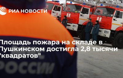 Площадь пожара на складе в Пушкинском достигла 2,8 тысячи "квадратов"