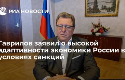 Гаврилов заявил о высокой адаптивности экономики России в условиях санкций