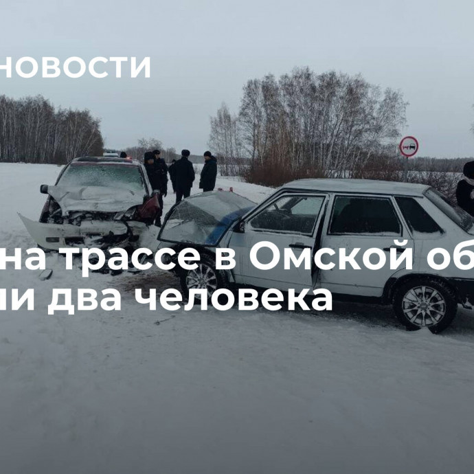 В ДТП на трассе в Омской области погибли два человека