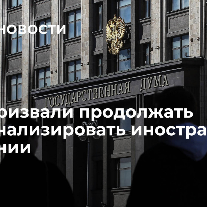 В ГД призвали продолжать национализировать иностранные компании