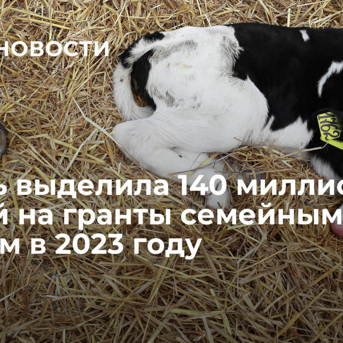 Кубань выделила 140 миллионов рублей на гранты семейным фермам в 2023 году