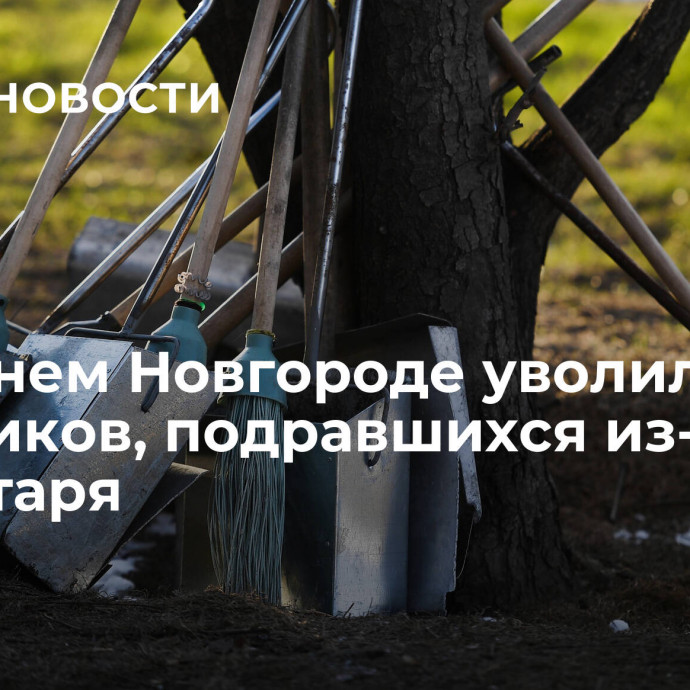 В Нижнем Новгороде уволили дворников, подравшихся из-за инвентаря