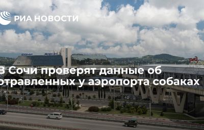 В Сочи проверят данные об отравленных у аэропорта собаках