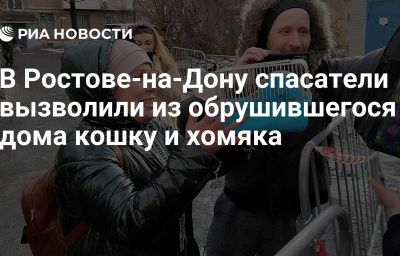 В Ростове-на-Дону спасатели вызволили из обрушившегося дома кошку и хомяка