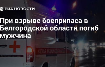 При взрыве боеприпаса в Белгородской области погиб мужчина