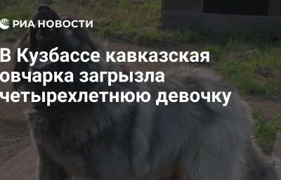 В Кузбассе кавказская овчарка загрызла четырехлетнюю девочку