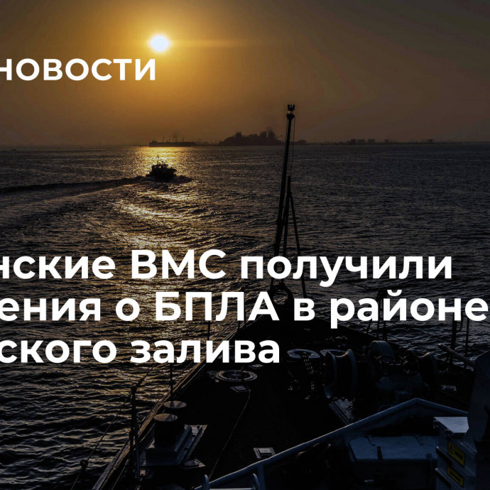 Британские ВМС получили сообщения о БПЛА в районе Ормузского залива